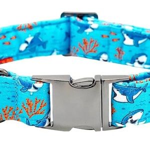 Shark Dog Collar Medium 13-22”